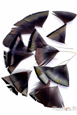 Petali in piume - 6-8 cm x 3-4 cm - naturale